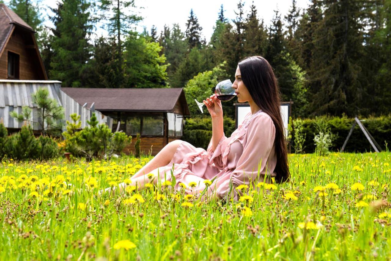 Penzion Sileo Pribylina Dış mekan fotoğraf